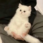 Avatar de Joaquín Bravo